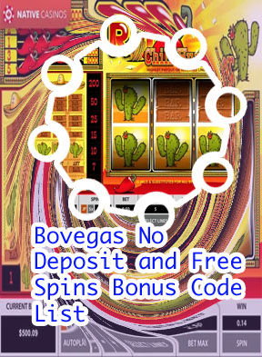 Bovegas casino no deposit bonus codes