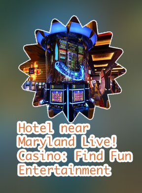Md live casino