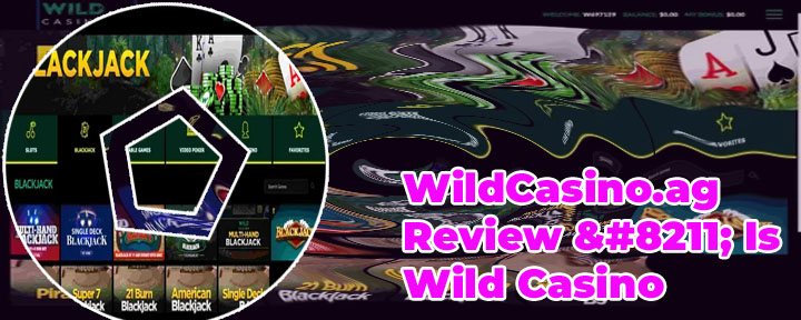 Wild online casino